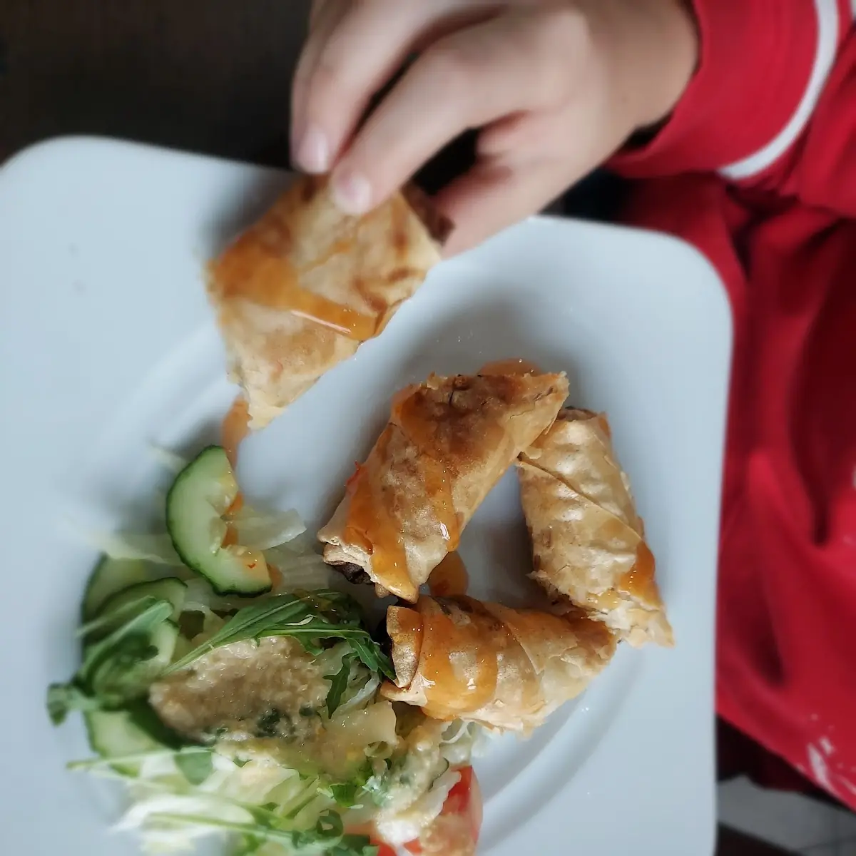 Frühlingsrolle