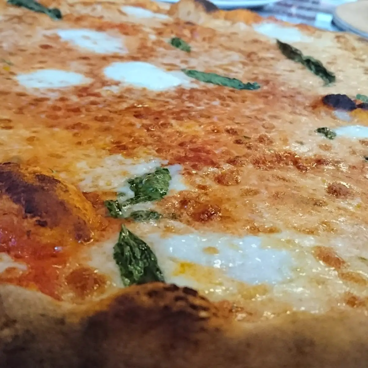 Bufala E Basilico