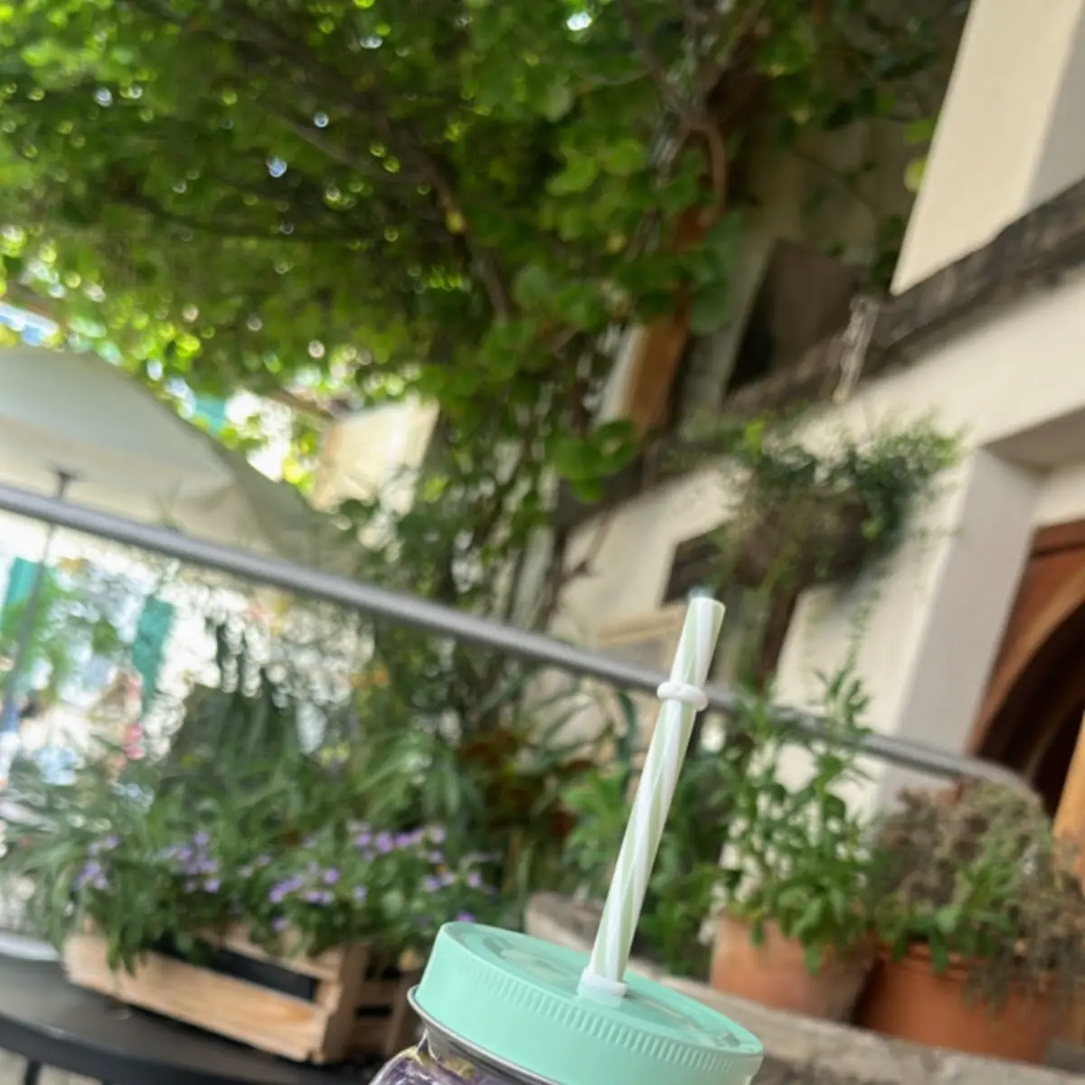 Highlights, Café Charme und Bio-Eis Manufaktur