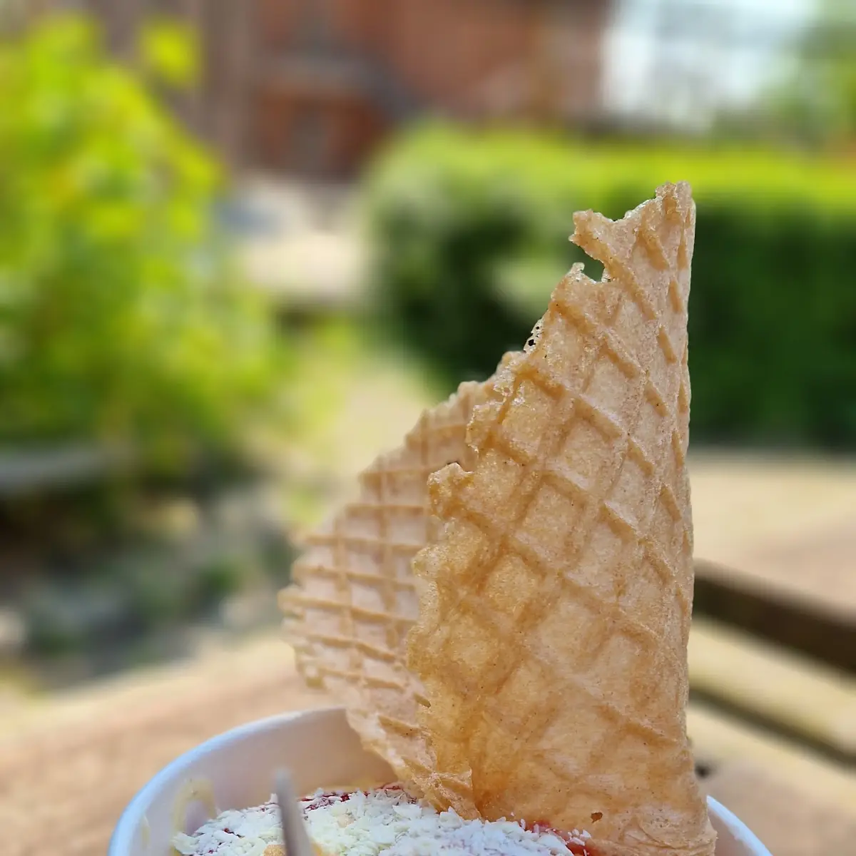 Spaghetti Eis
