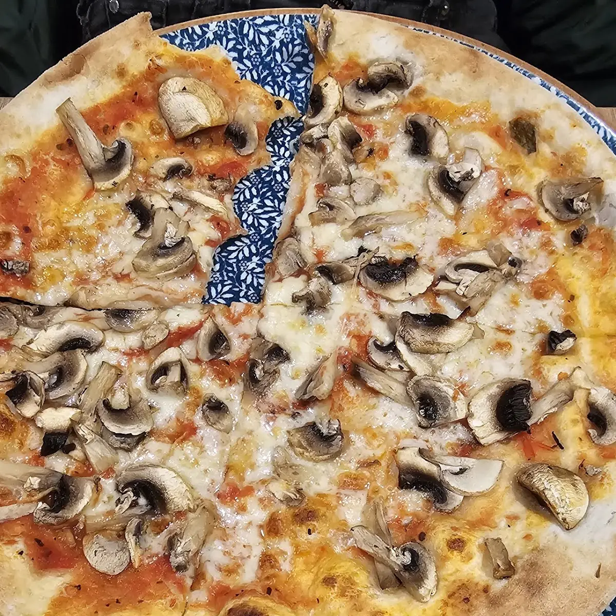 Pizza Funghi