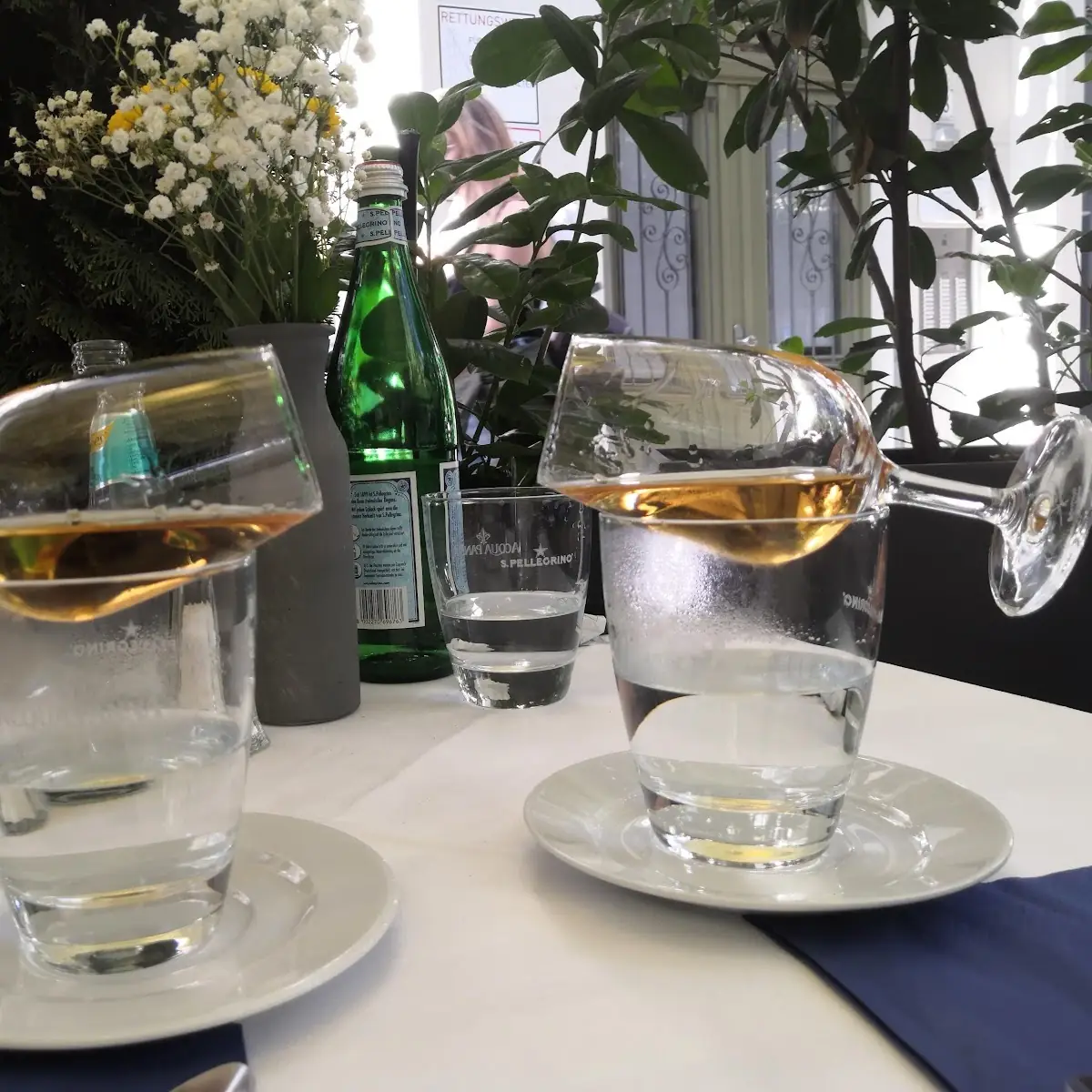 Grappa, BACCO