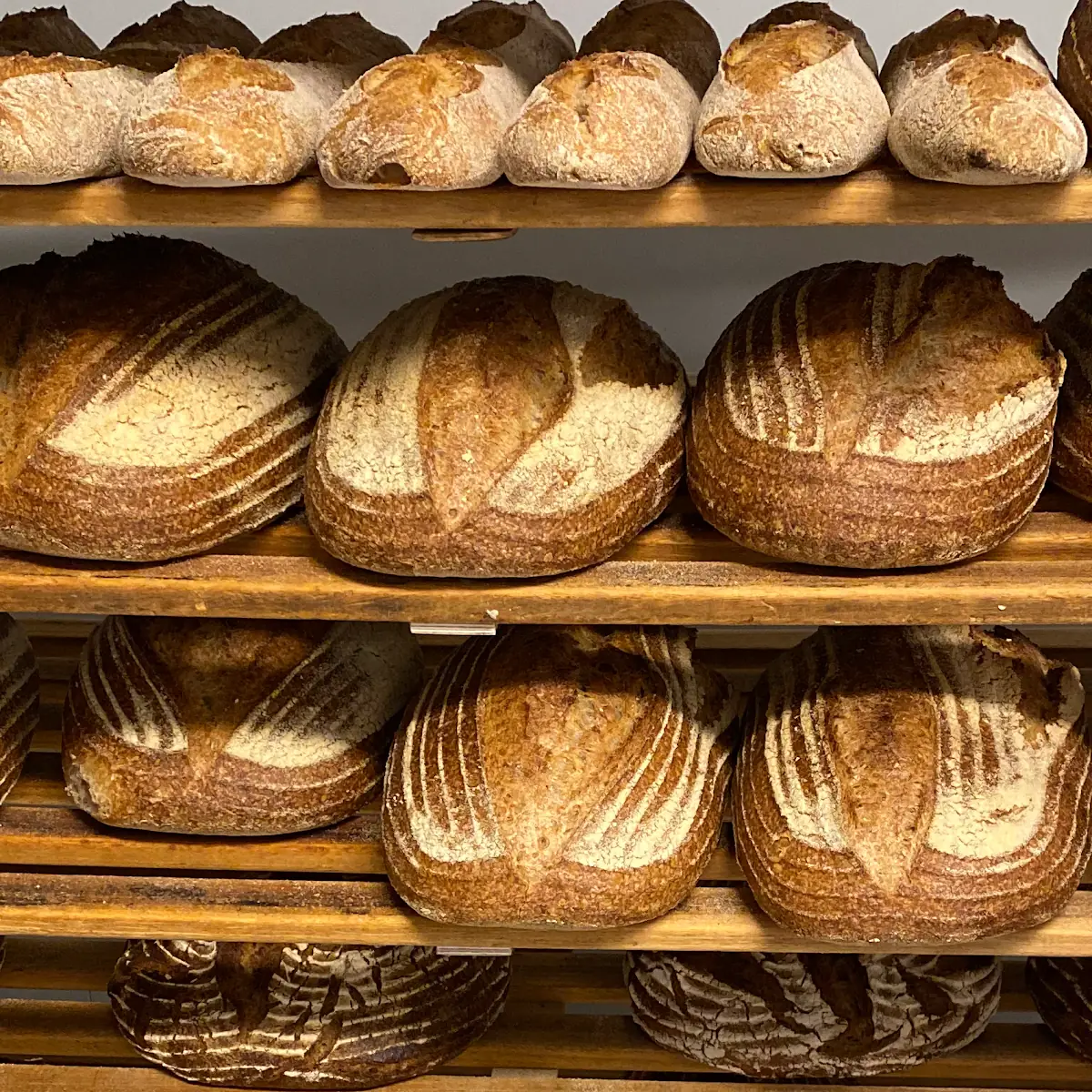 Bread