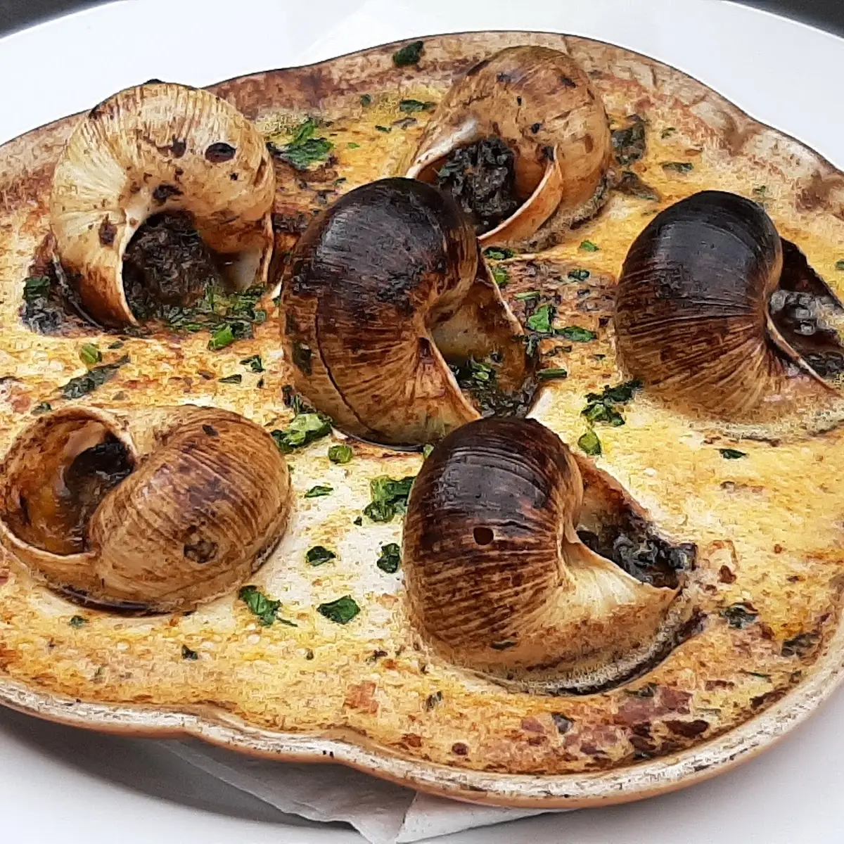 Escargot