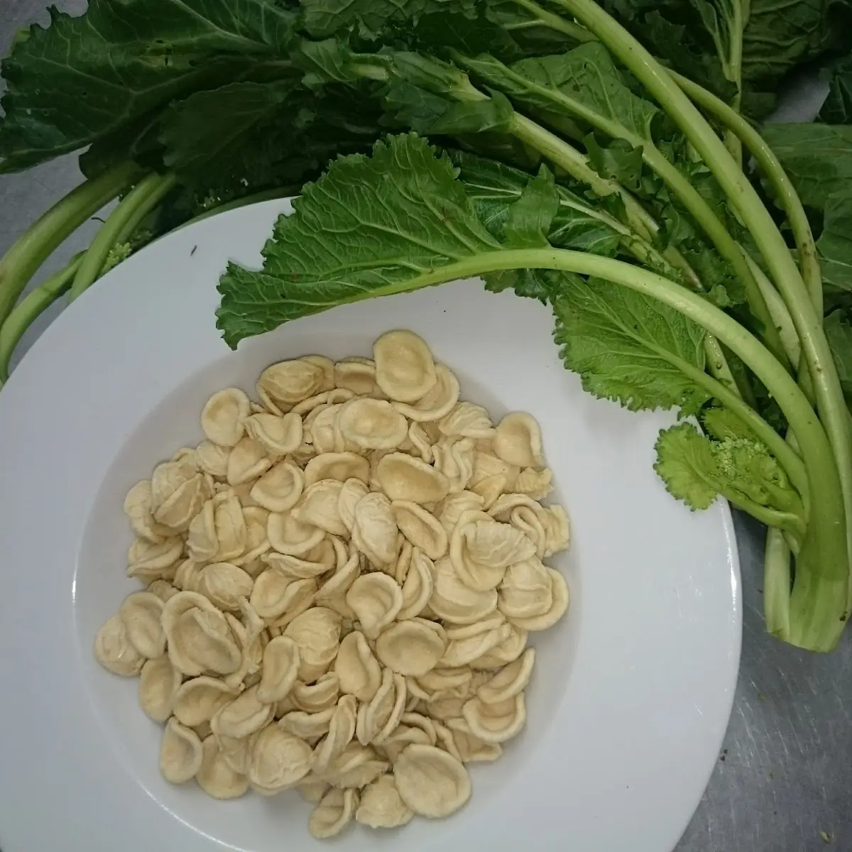 Orecchiette