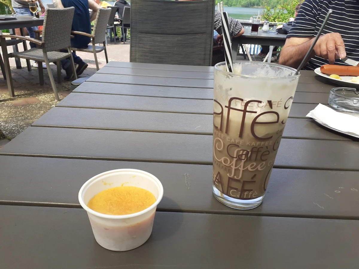 Hundeeis Und Eiskaffee