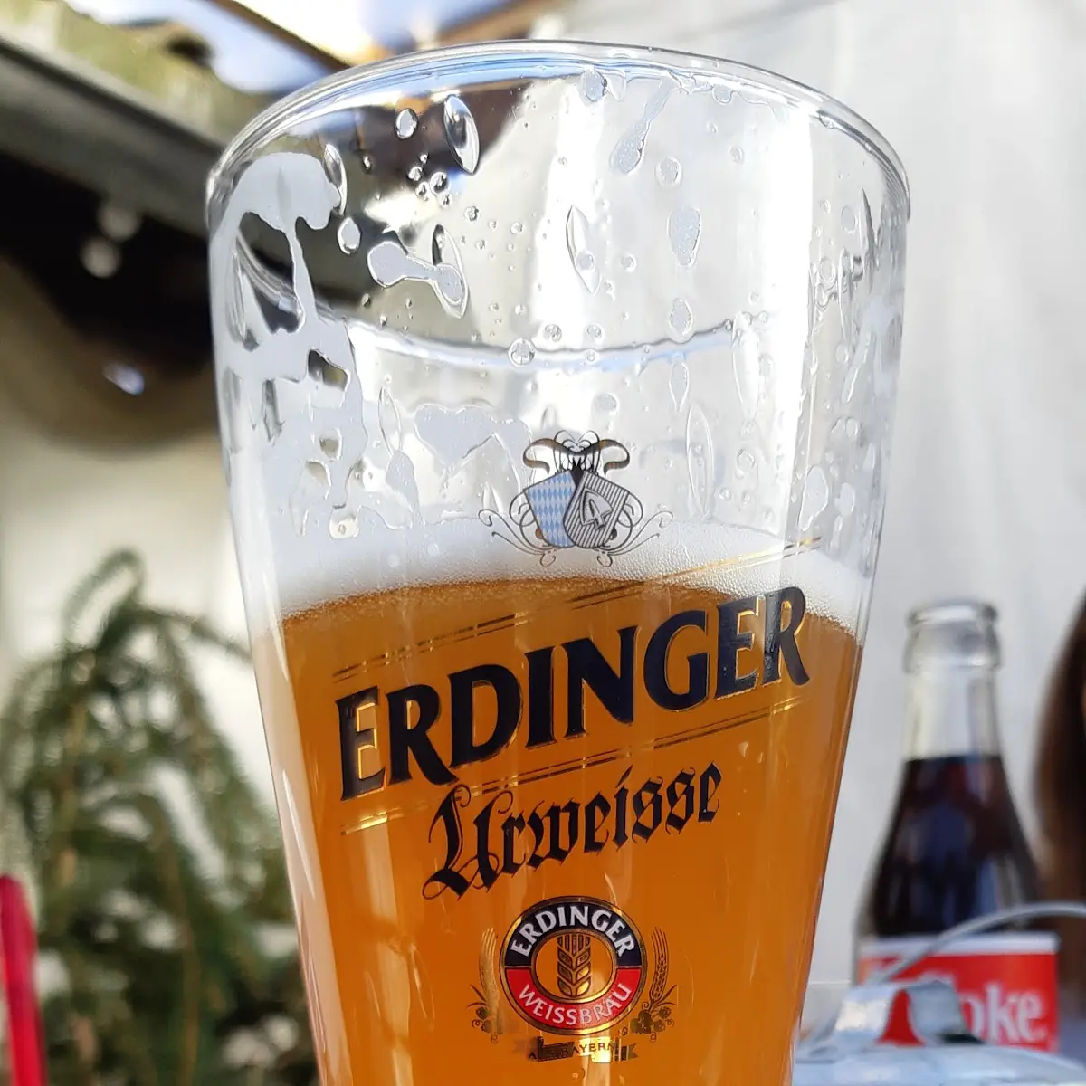 Beer