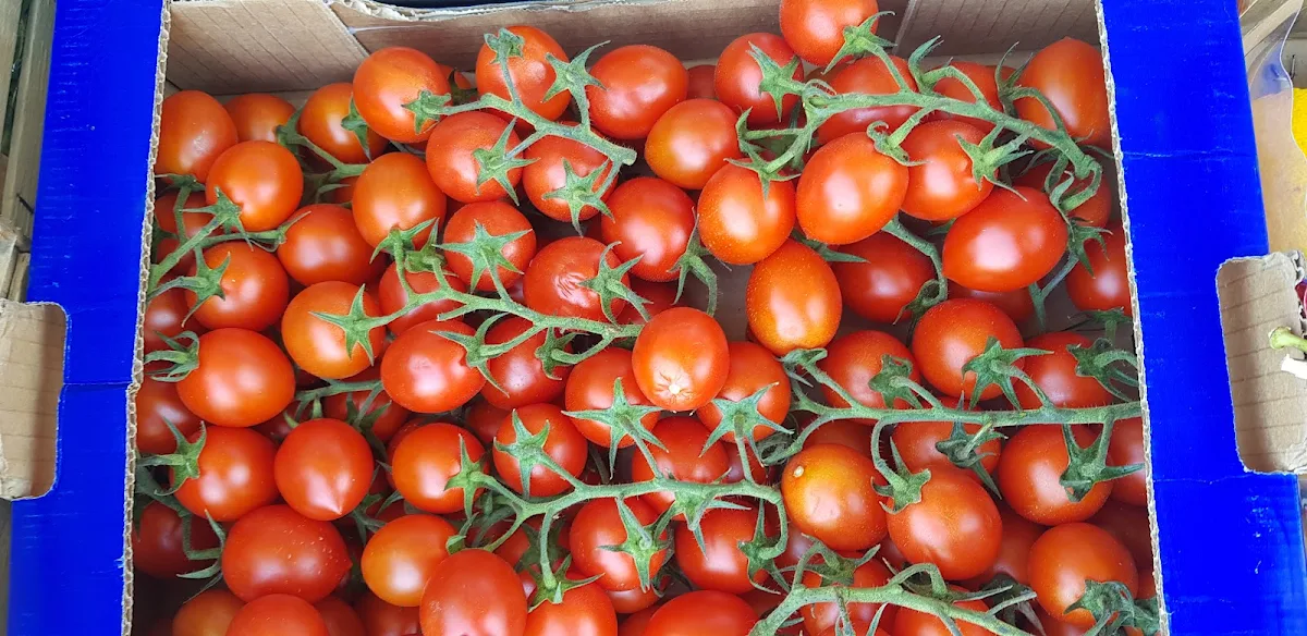 Tomato, Annas Caffè Point