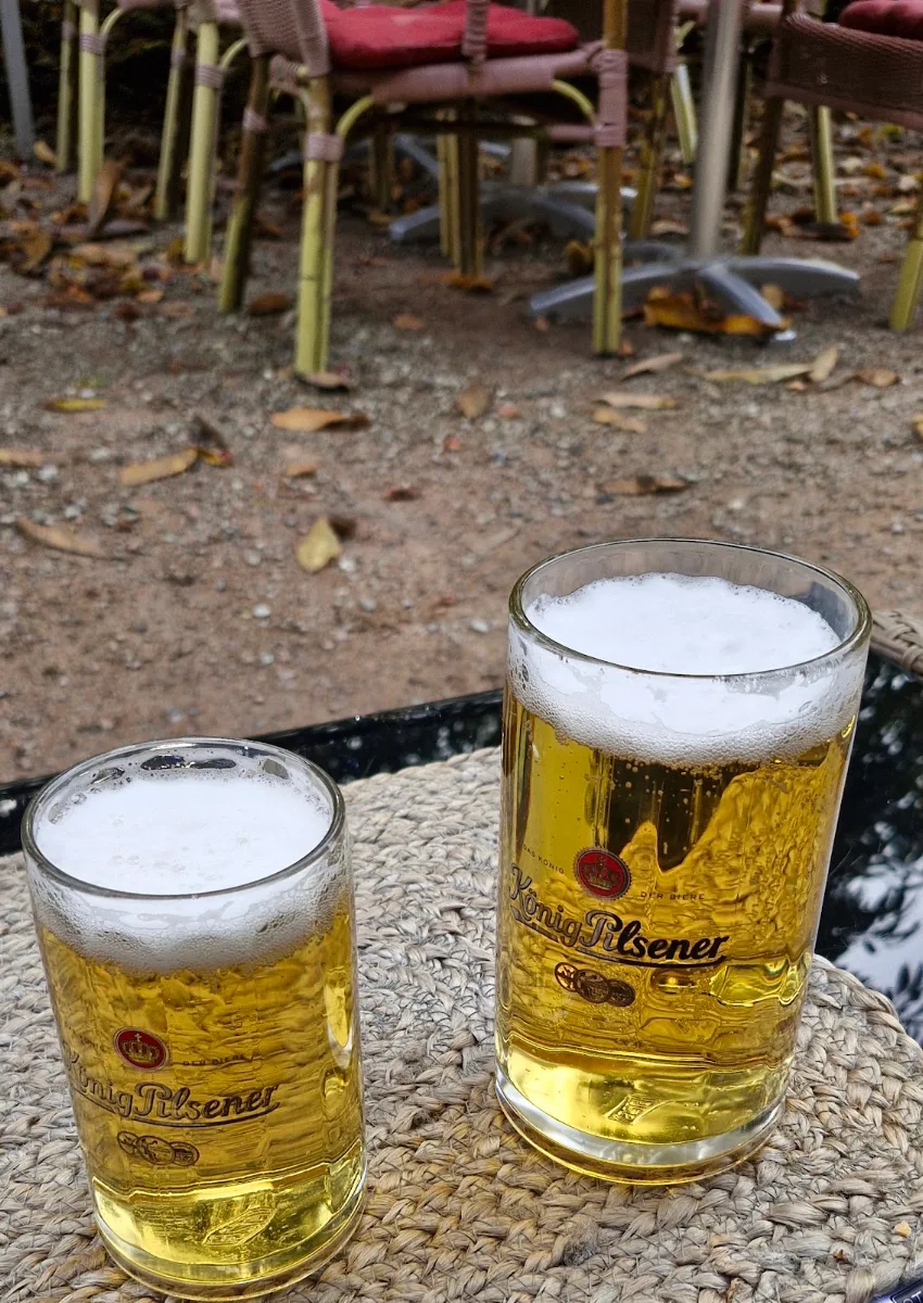 Bier