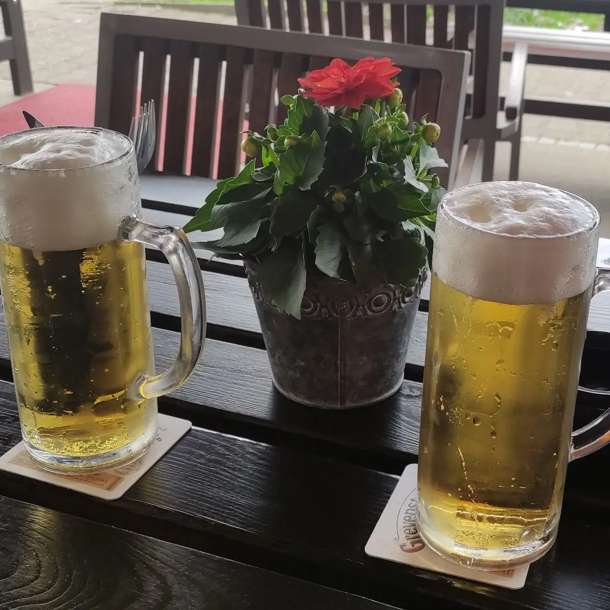Bier