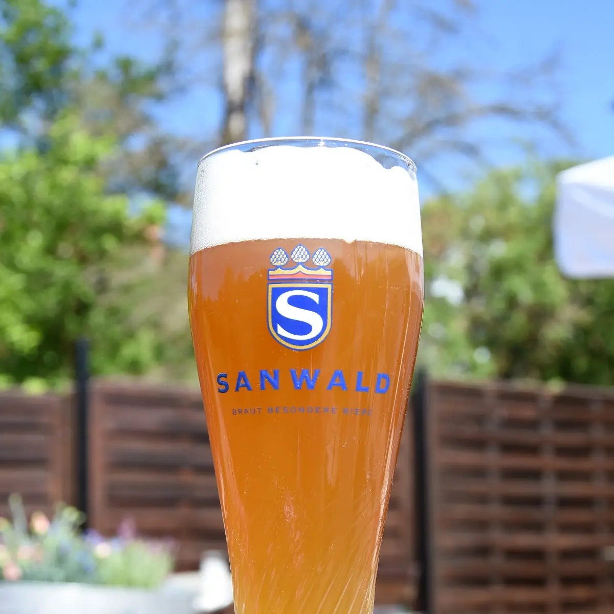 Bier