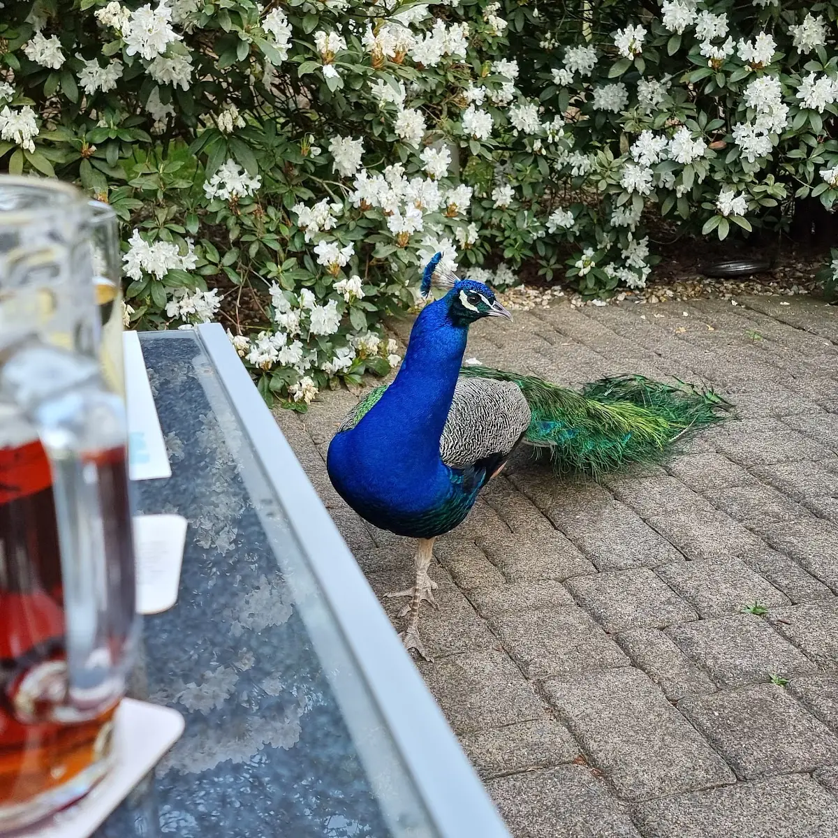 Bier, Forsthaus 1838