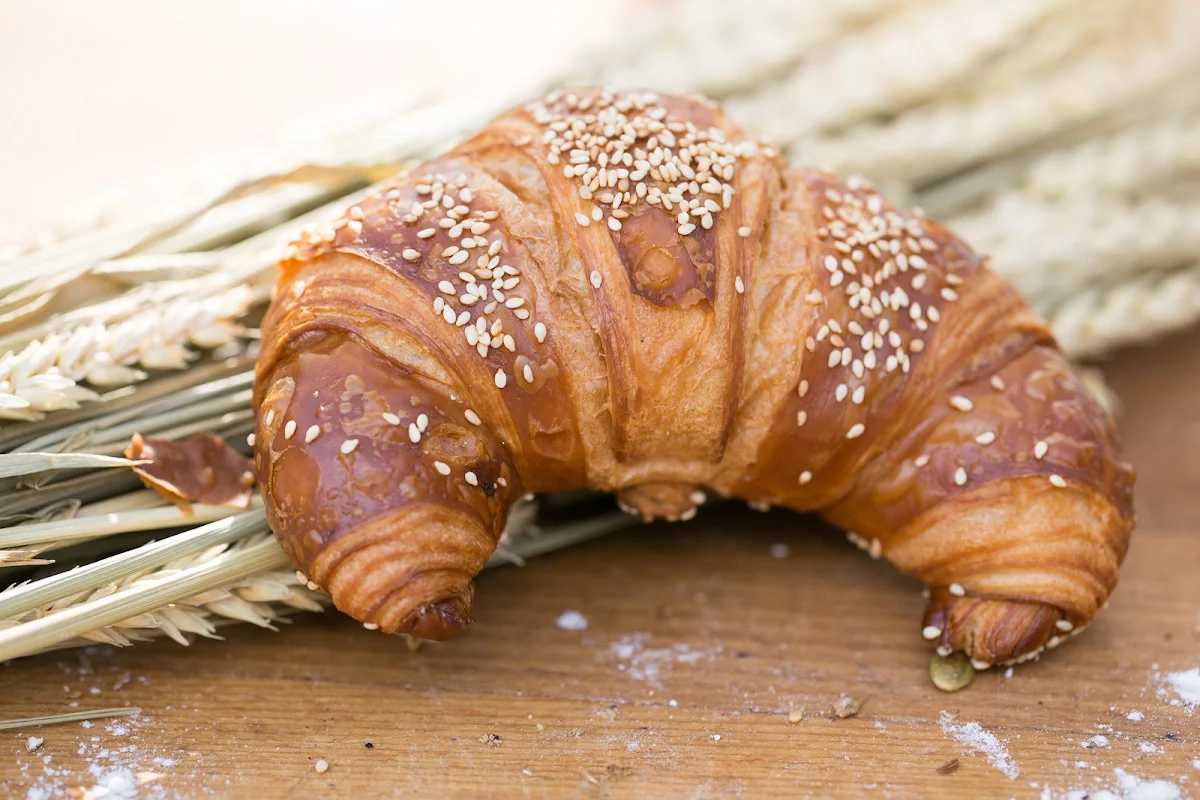 Highlight 5