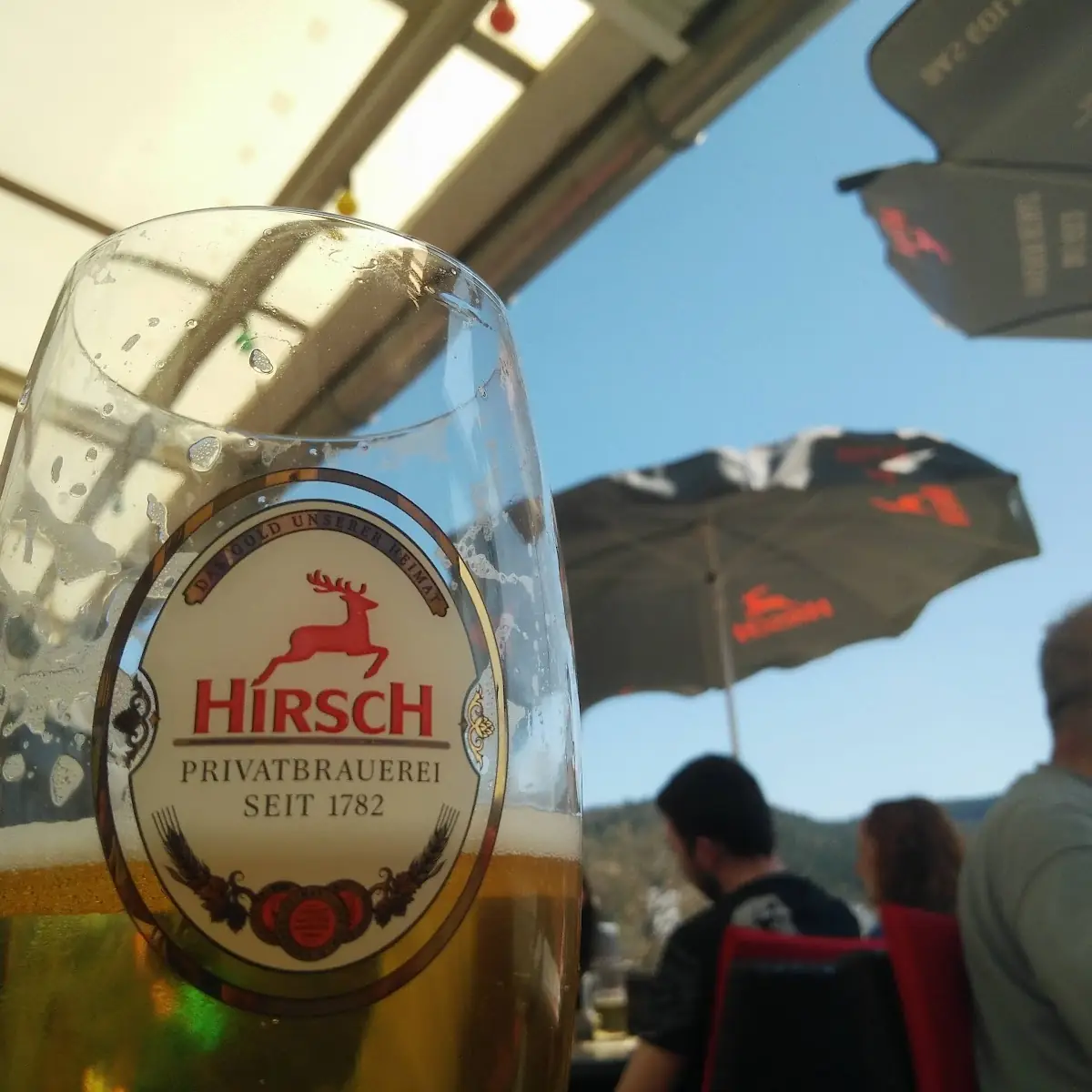 Bier