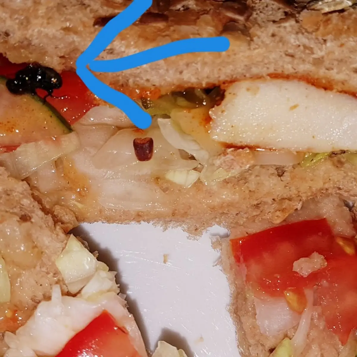 Das Sandwich