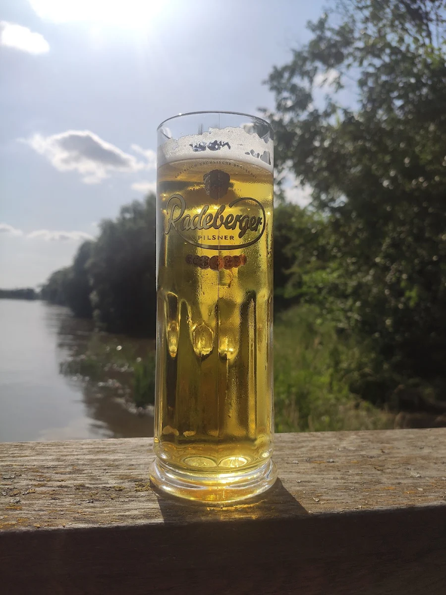 N Bier