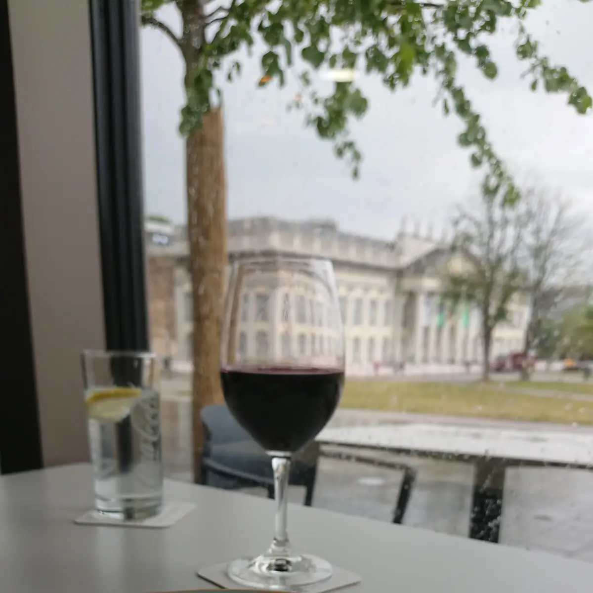 Rotwein