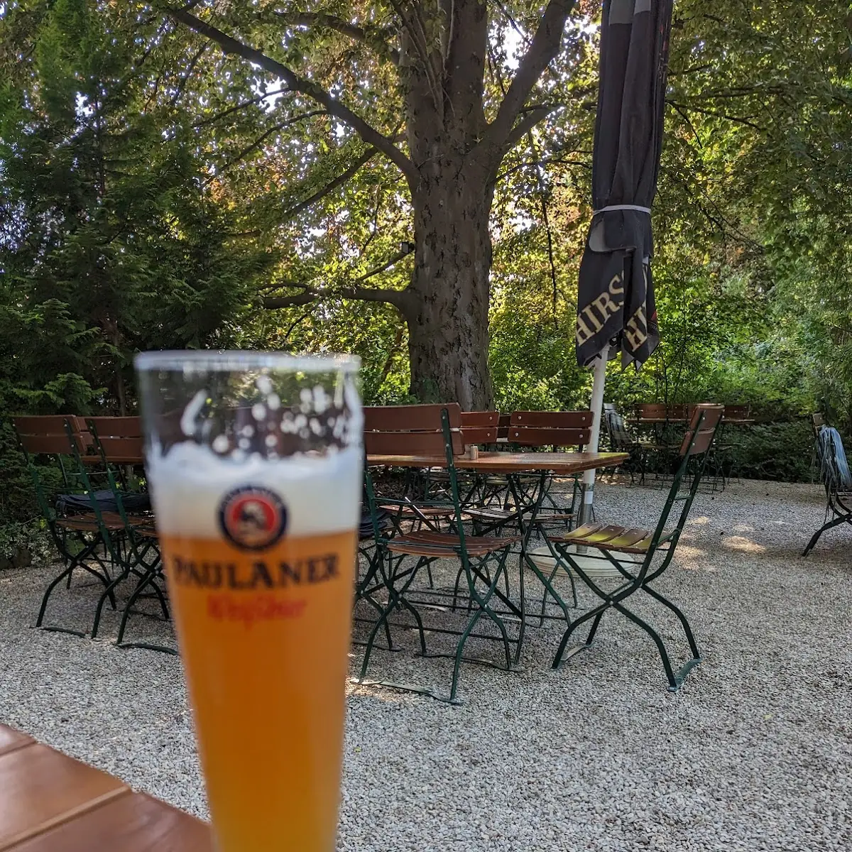 Bier