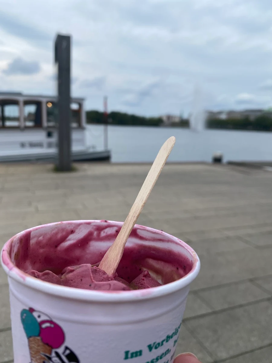 Blaubeer Eis