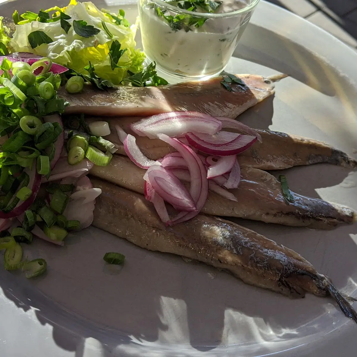 Soused Herring