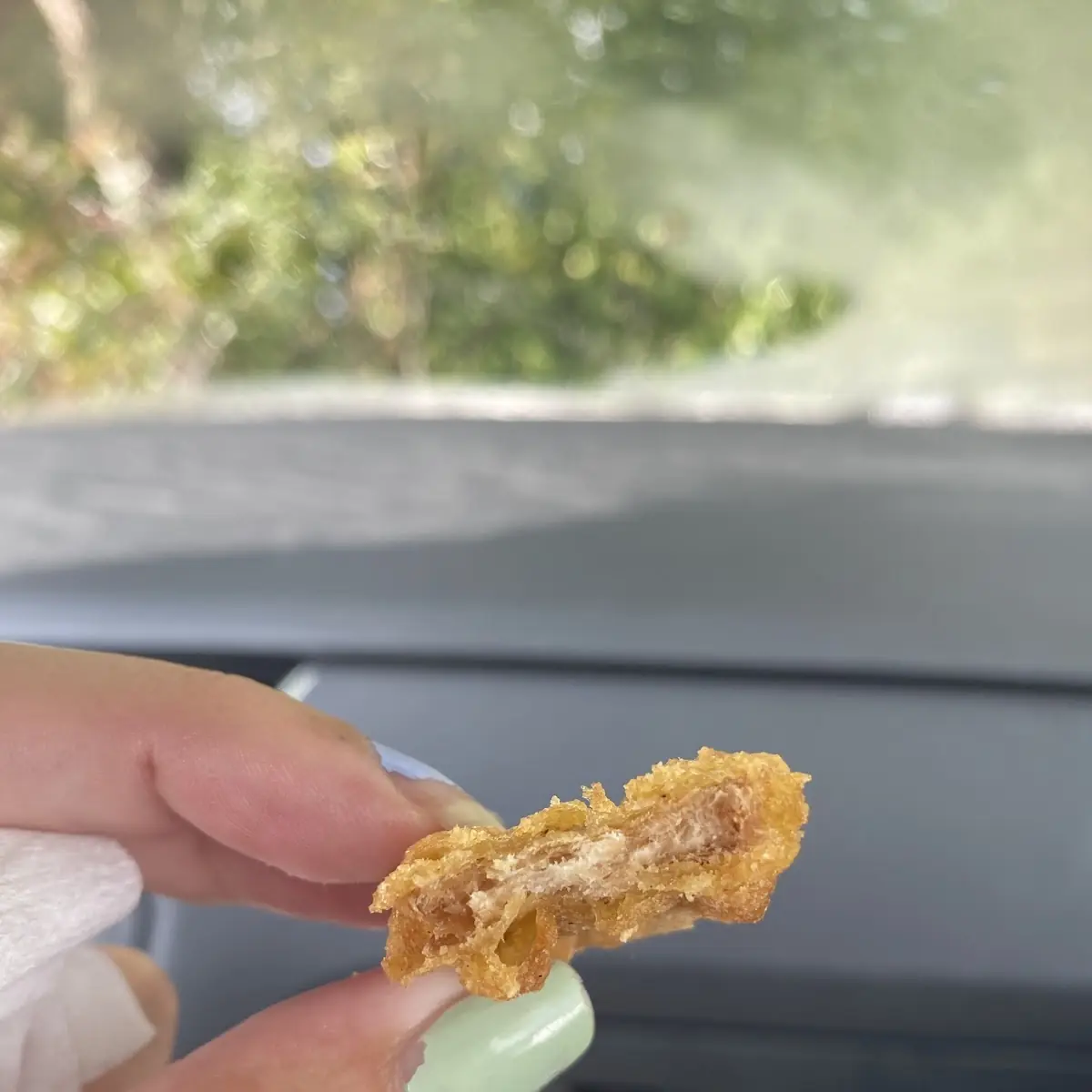 Plant Based Nuggets