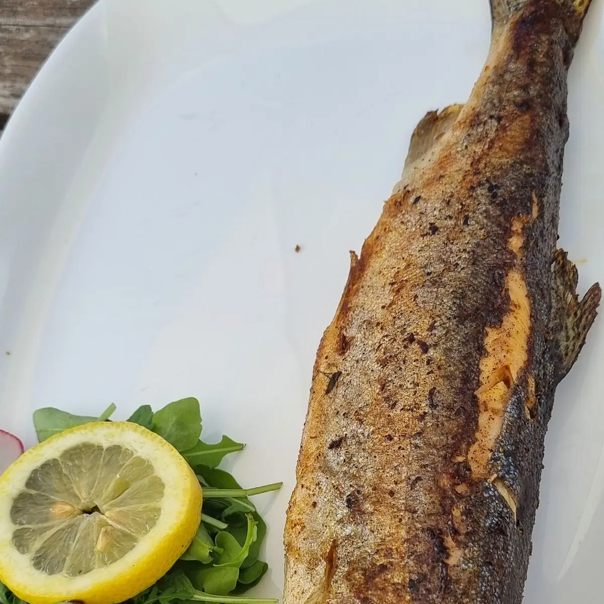 Mackerel