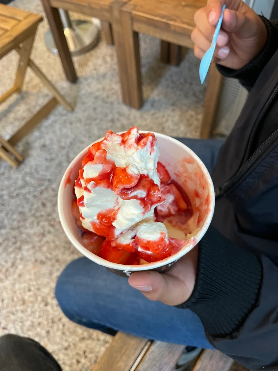 Spaghetti Eis
