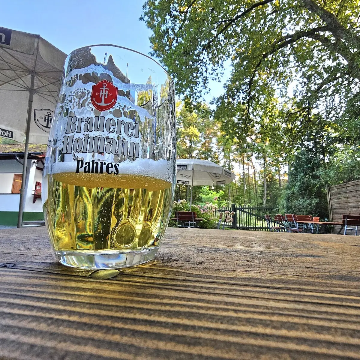 Hofmann Helles