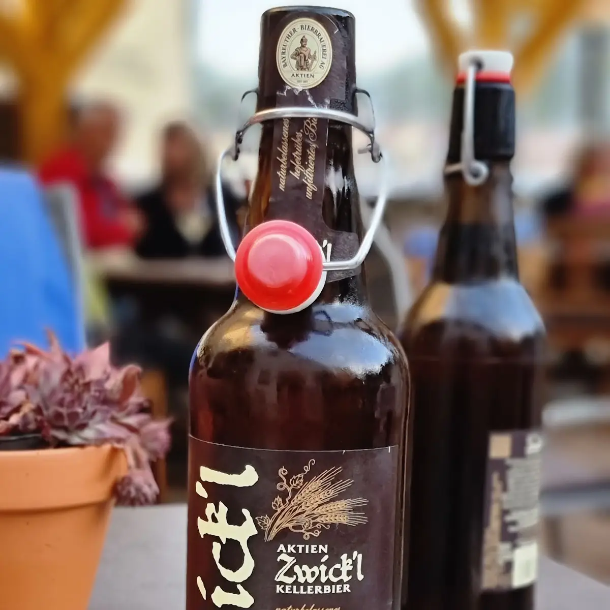 Bier