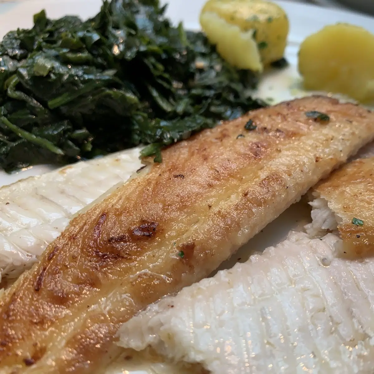 Torched Black Cod With