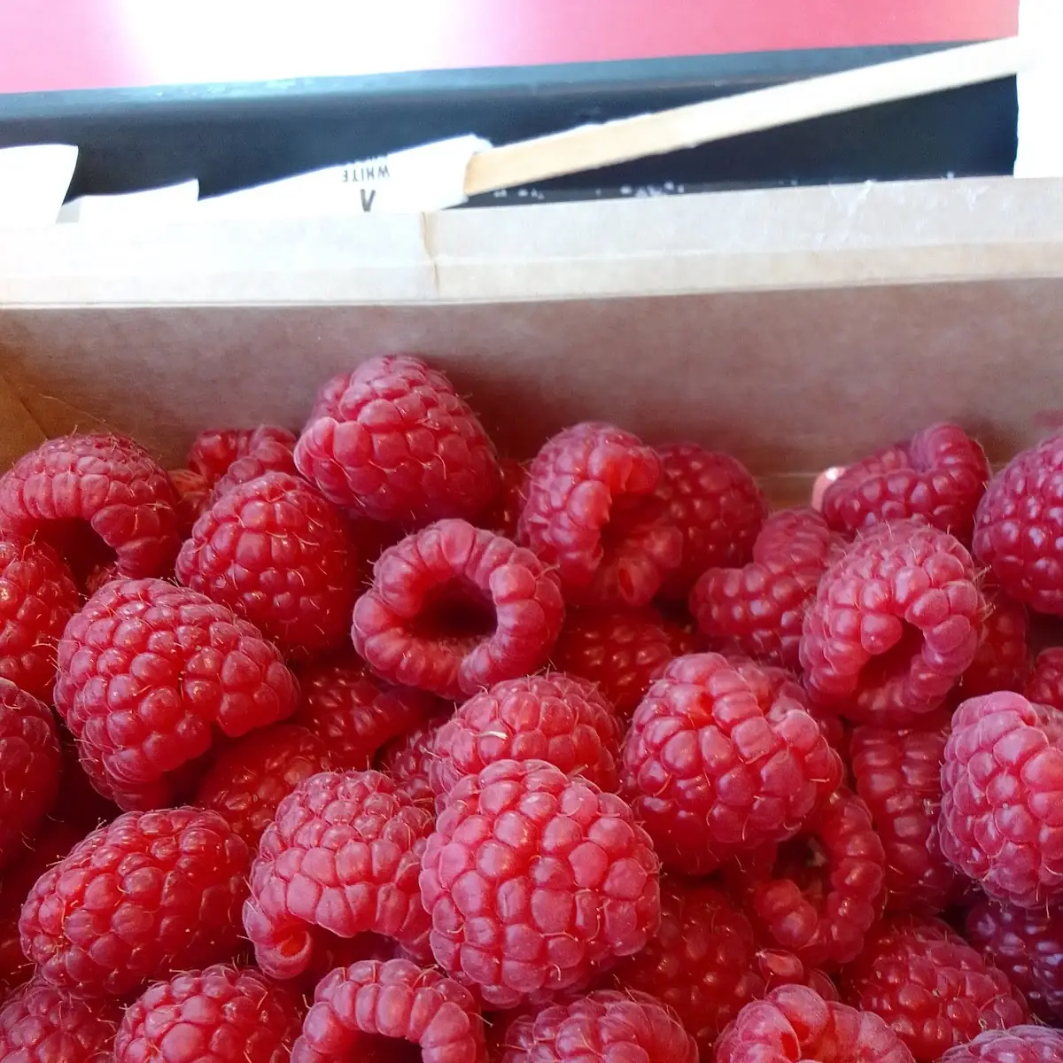 Raspberry