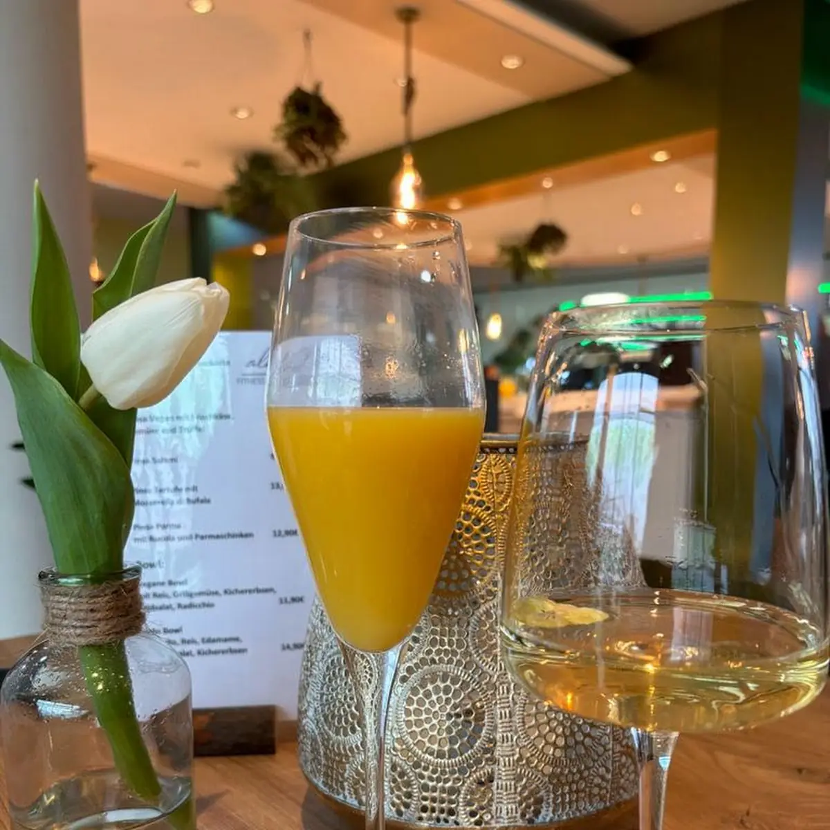 Mimosa