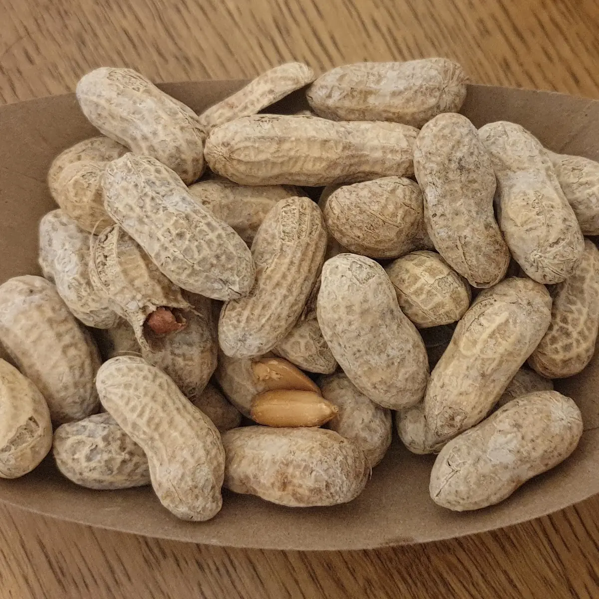 Peanuts
