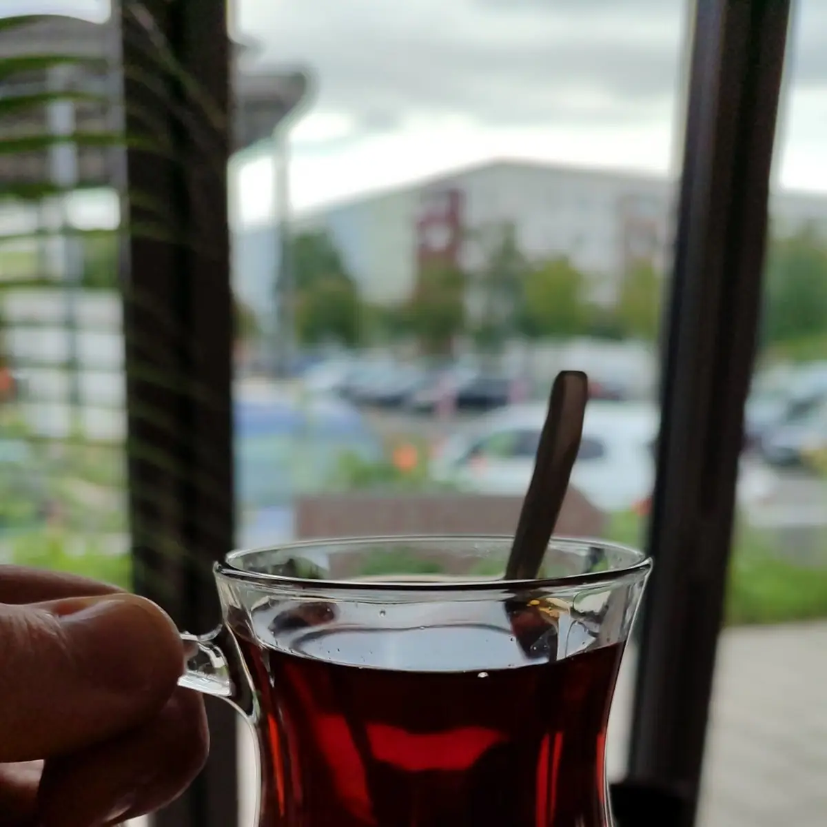Tea