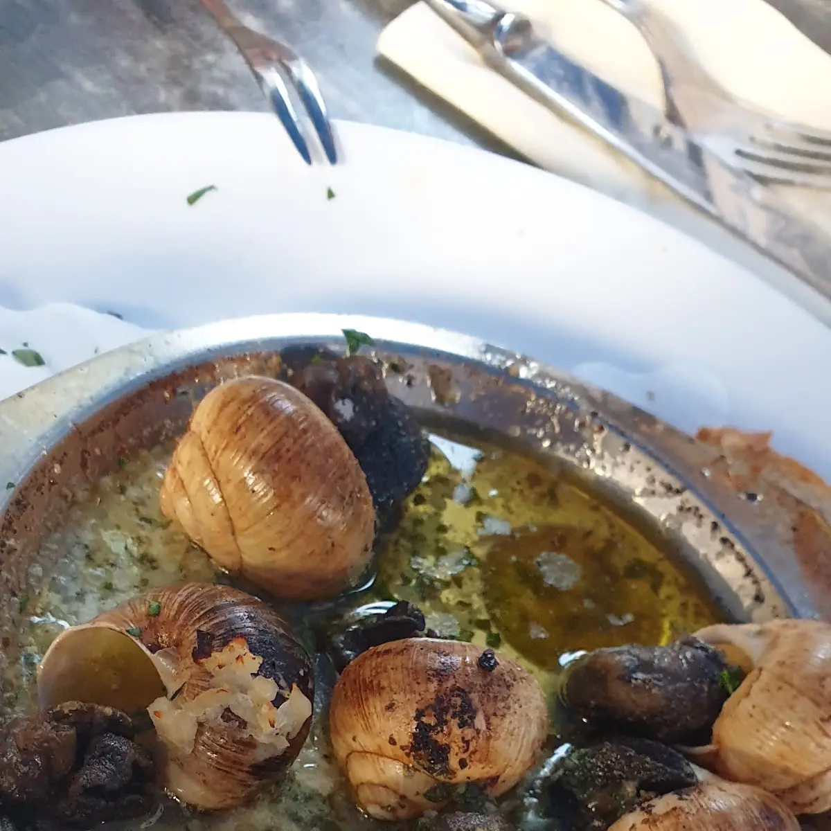 Escargot