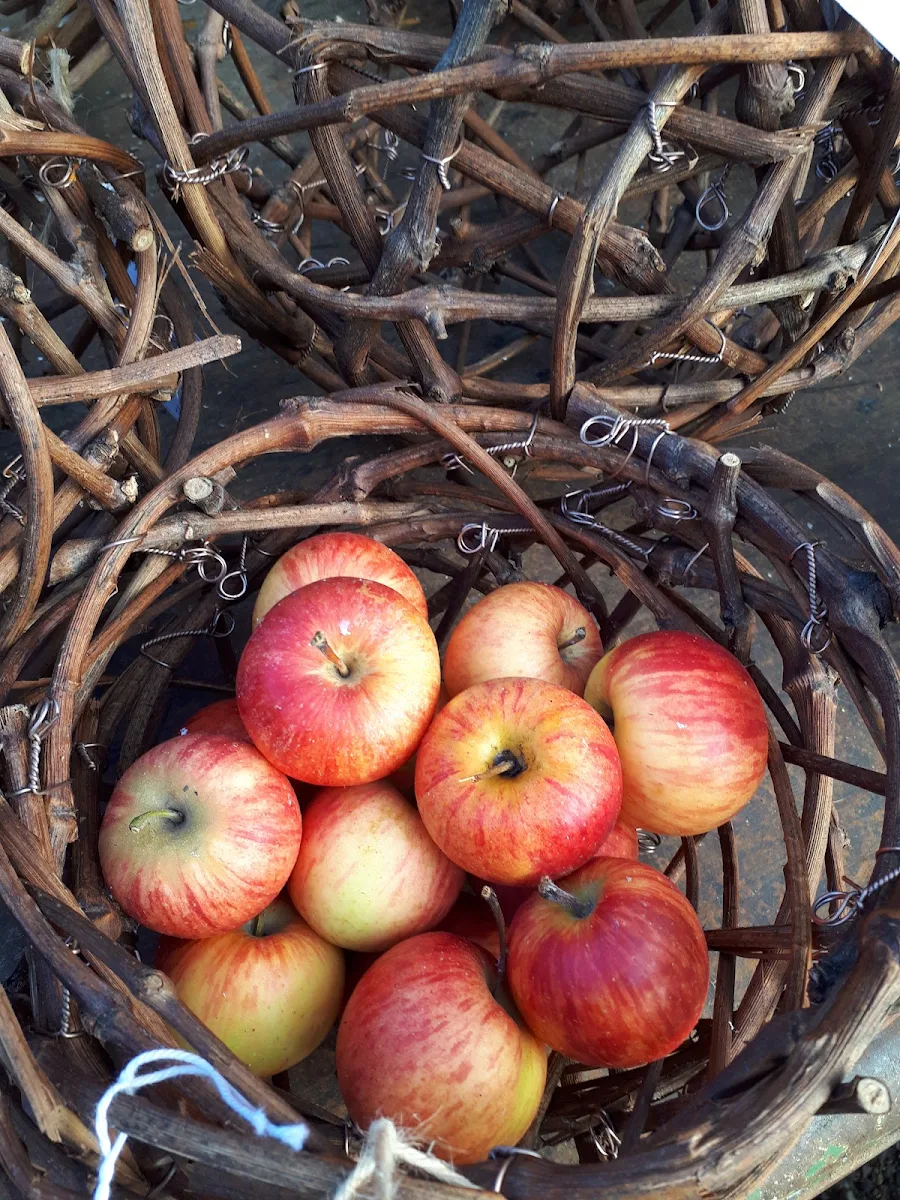 Apple
