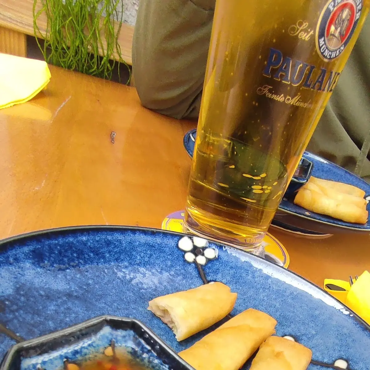 Frühlingsrollen