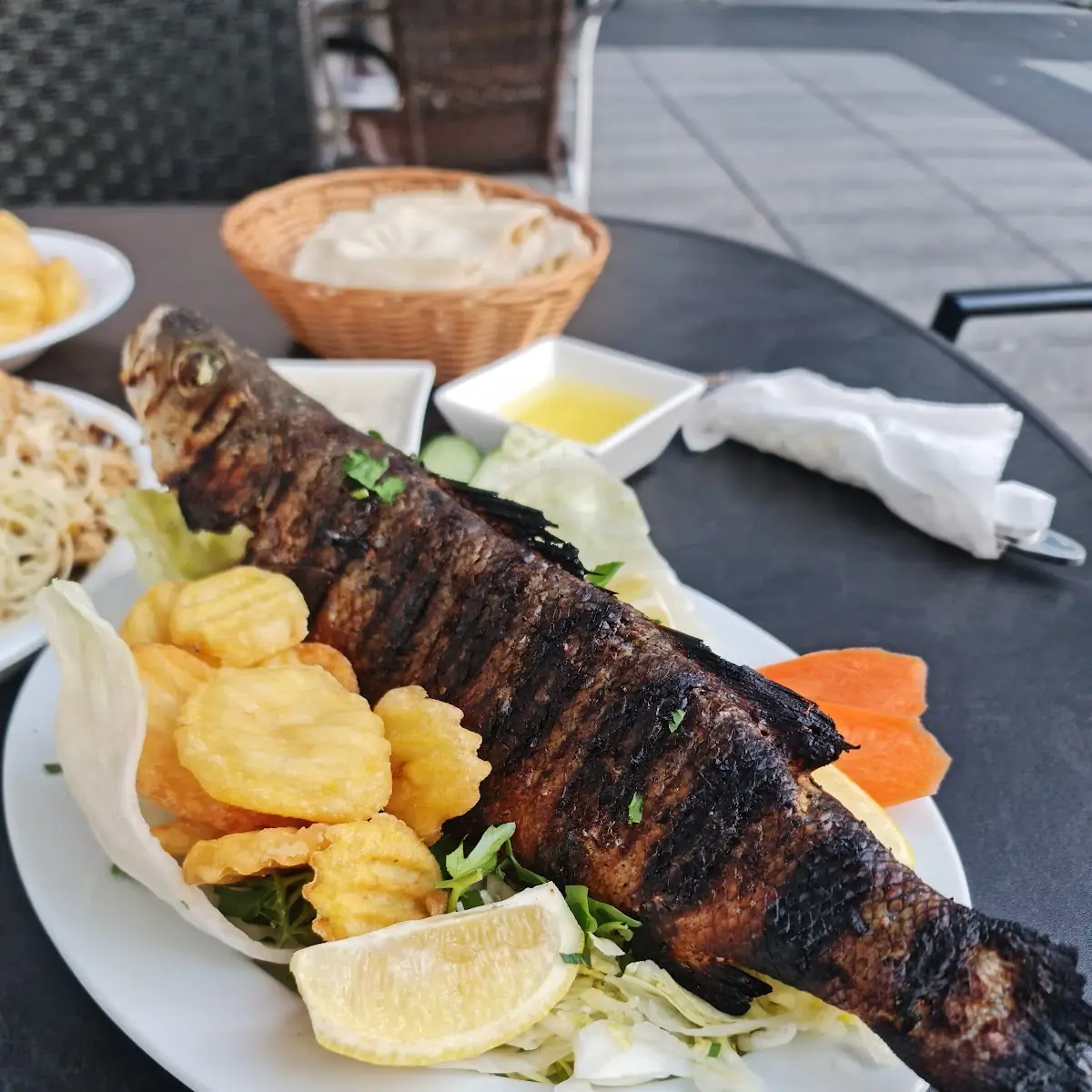 Fish