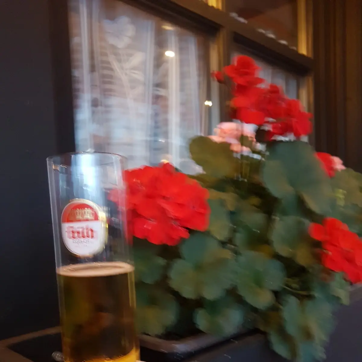 Bier