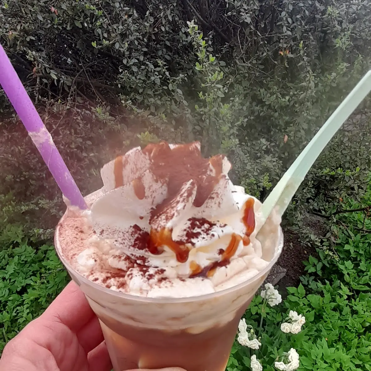 Eis Kaffe