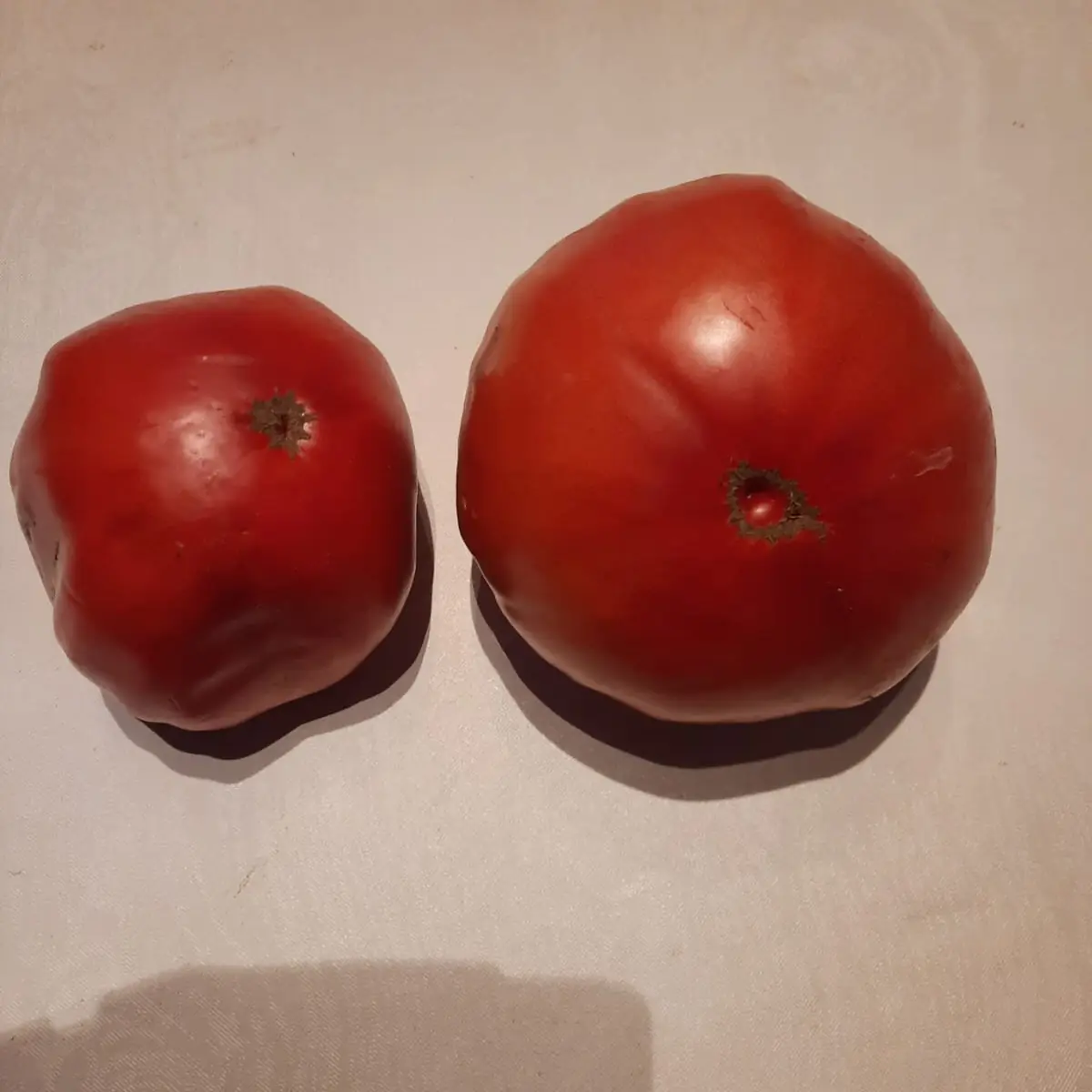 Tomato