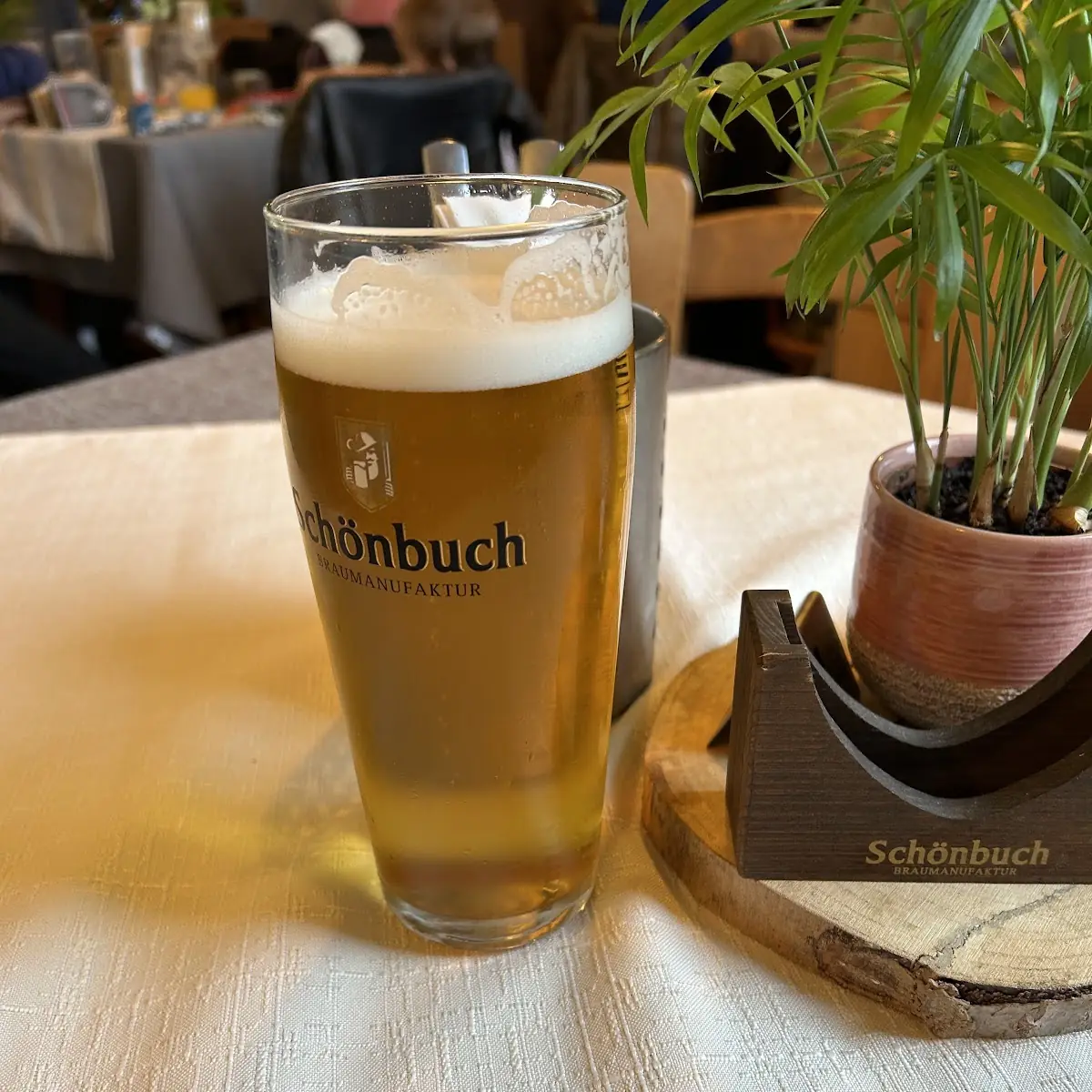 Bier