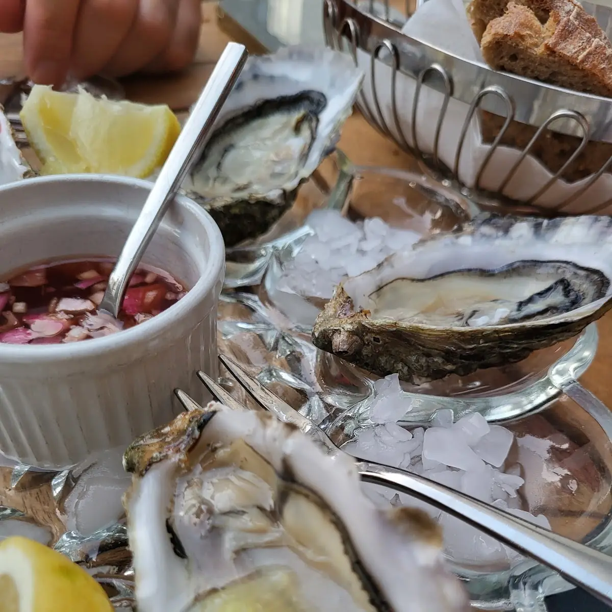 Oyster