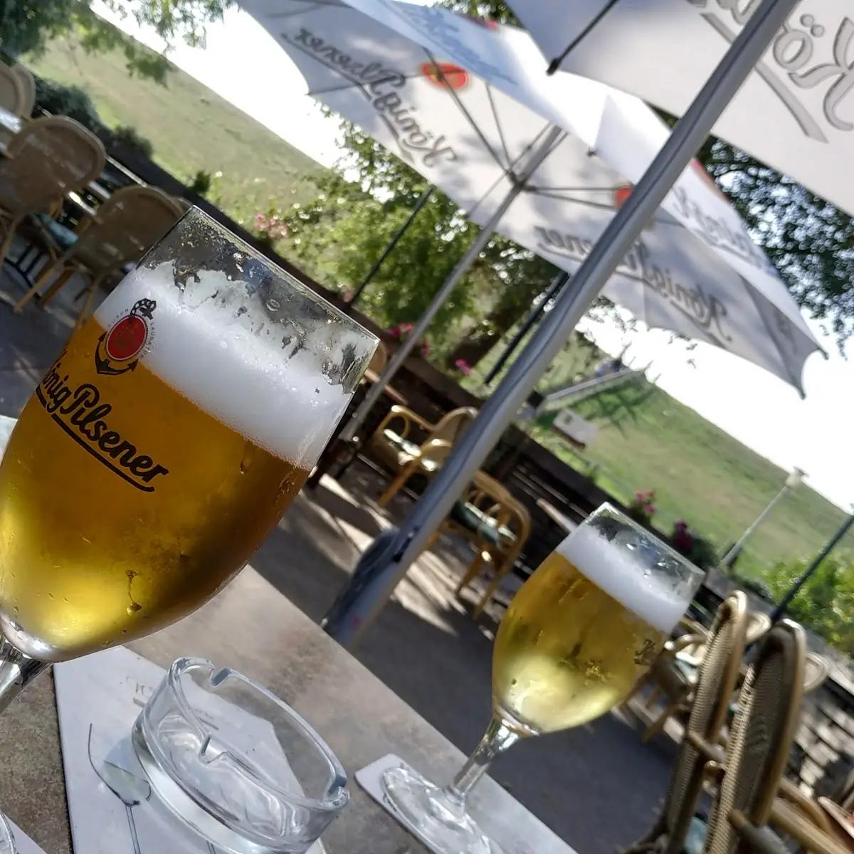 Bier