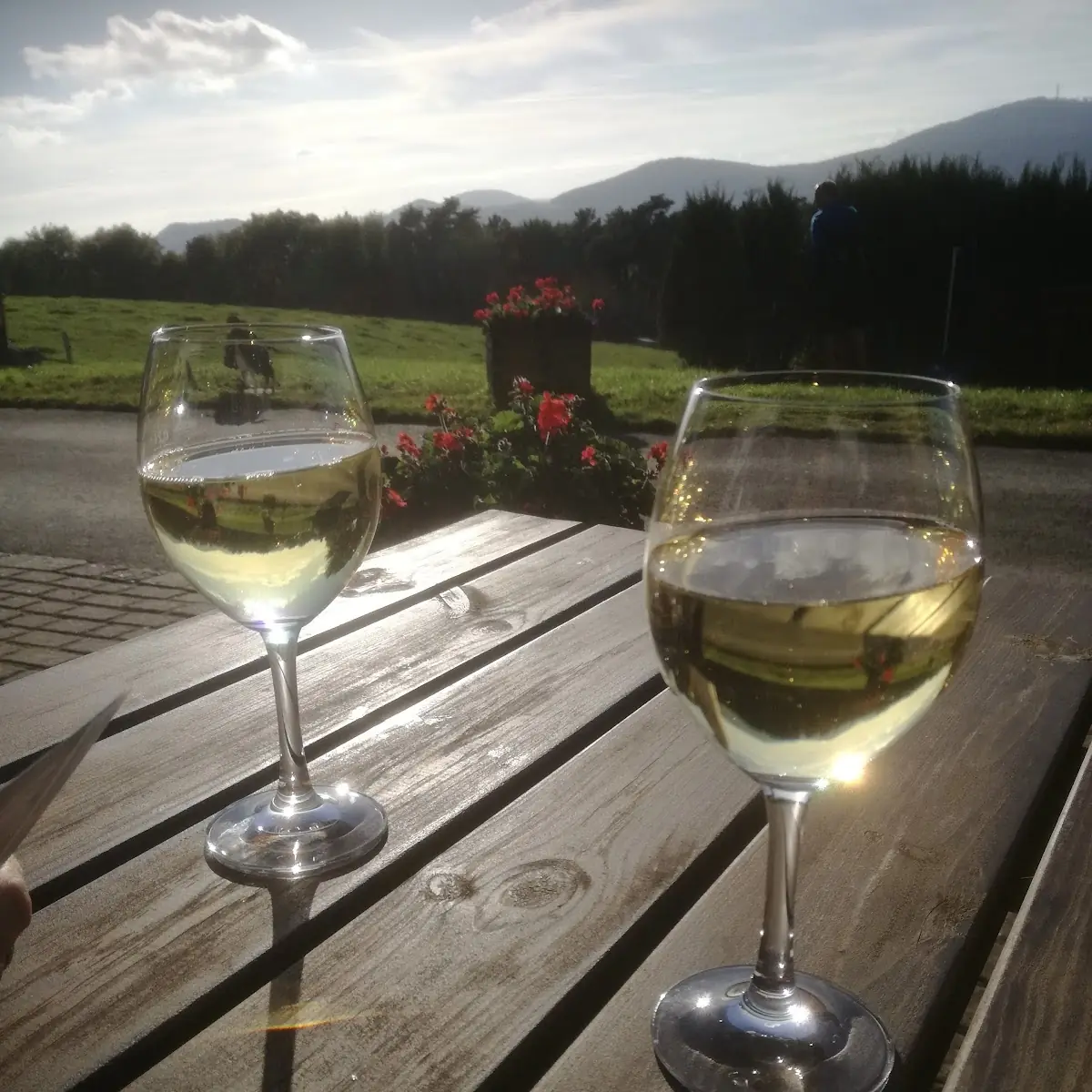 Wein