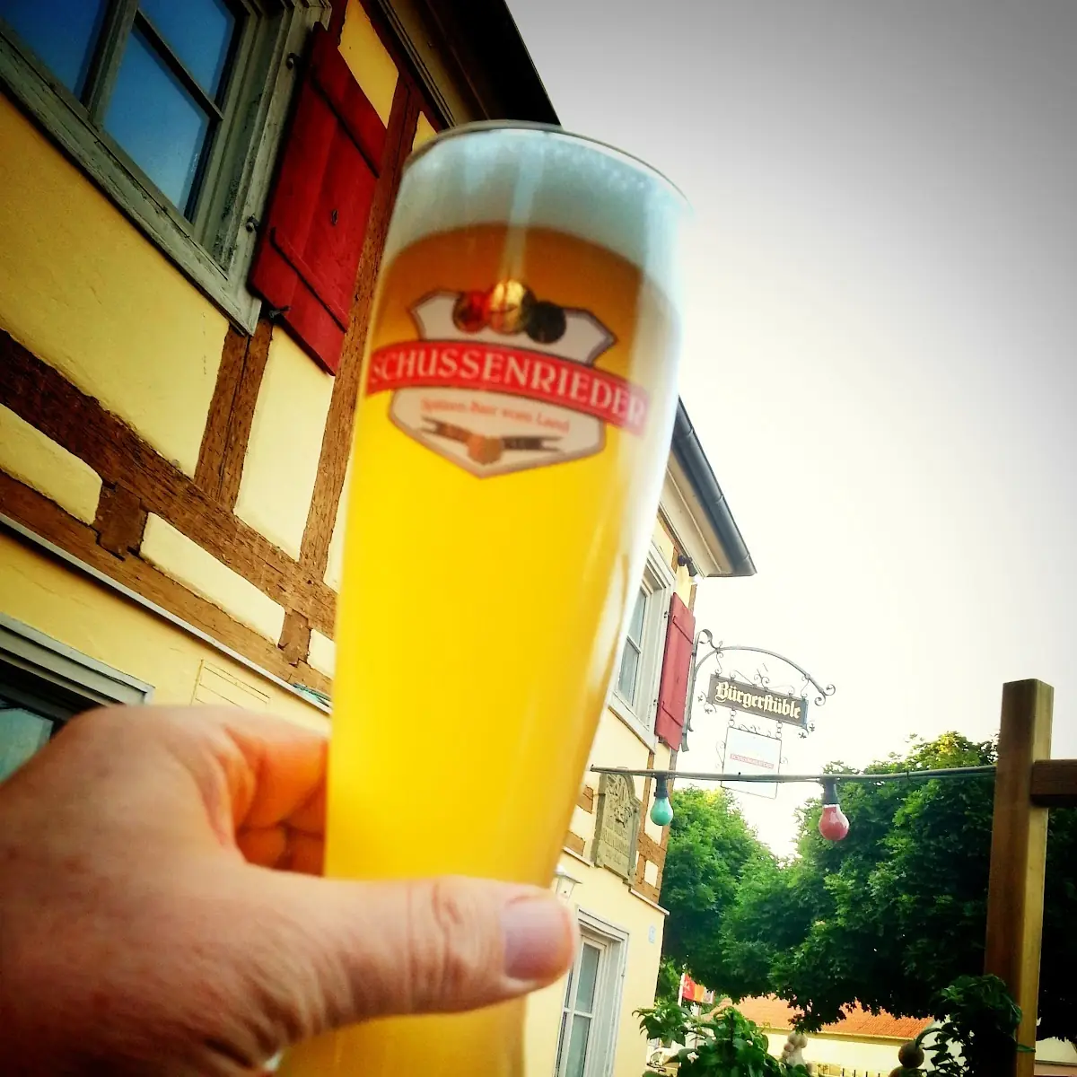 Bier