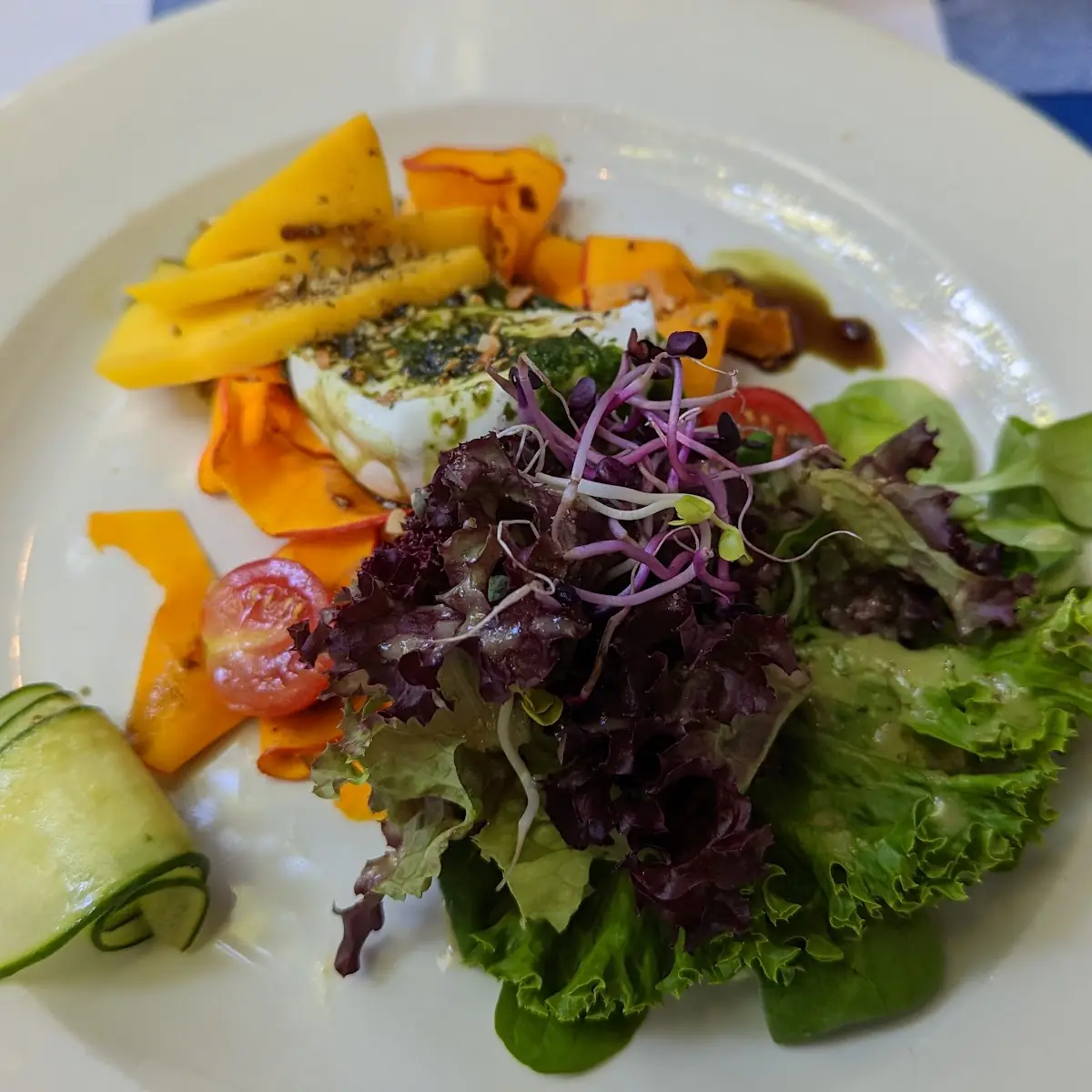 Büffel Mozzarella