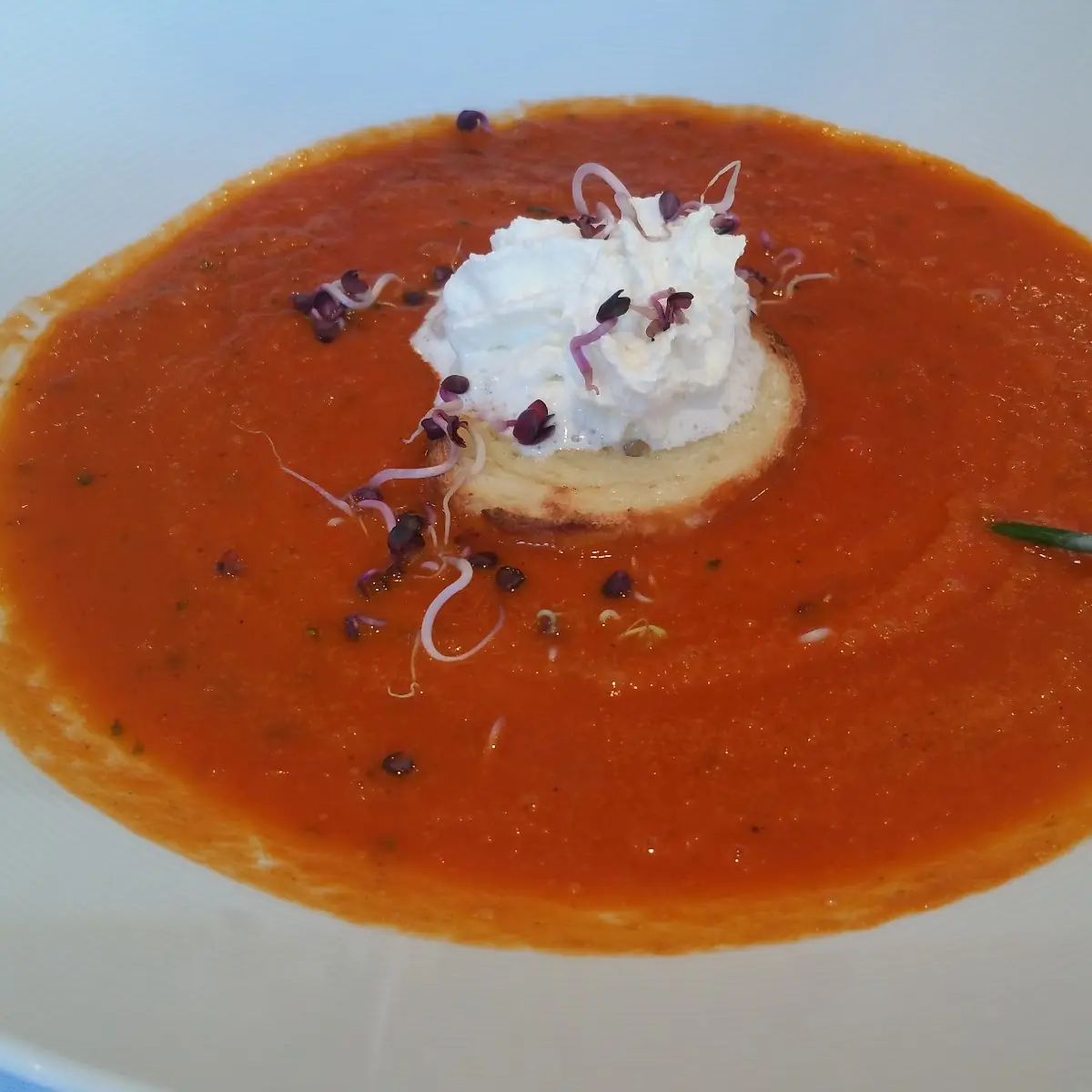 Tomatensuppe