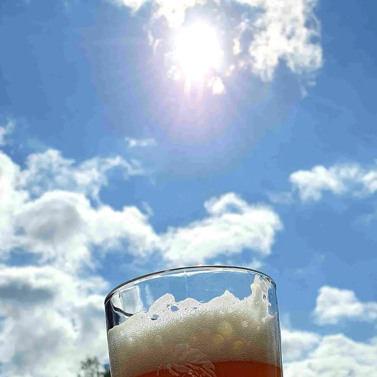 Bier