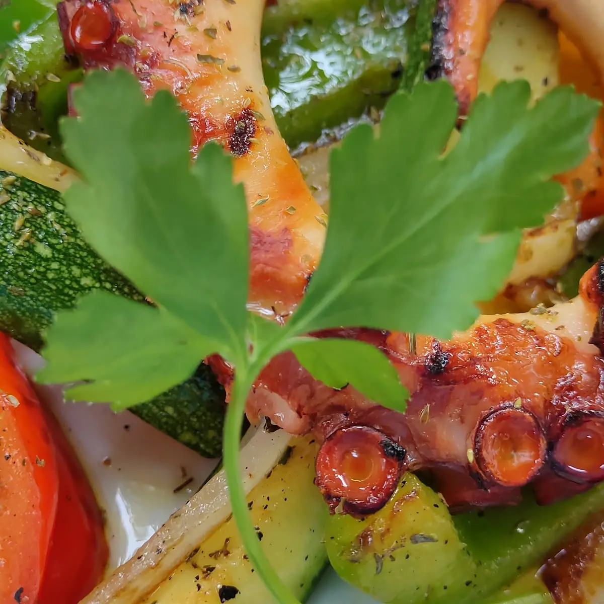 Grilled Oktopus